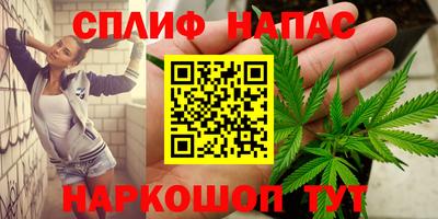 индика Тара