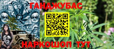 индика Тара