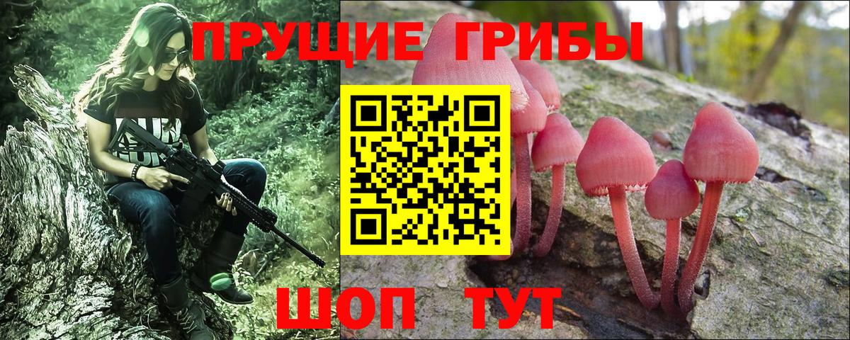 цены наркотик  Галлюциногенные грибы Psilocybine cubensis  Вход с VPN  Галлюциногенные грибы Magic Shrooms  Волгодонск 